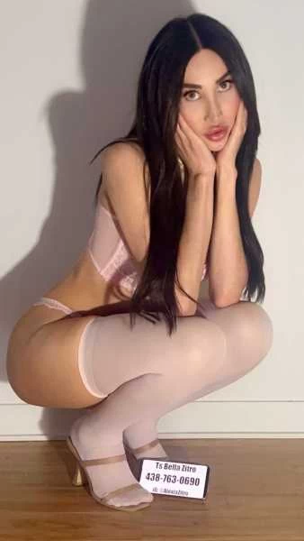 Thumbnail of TS BELLA ZITRO’s photo gallery