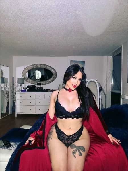 Thumbnail of Lady Shiraz’s photo gallery